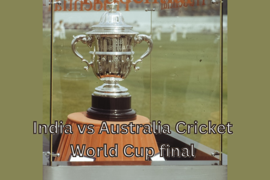 India v Australia Cricket World Cup final